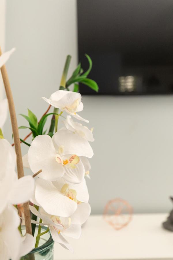Charme Cosy Confort - Thermes Apartment *